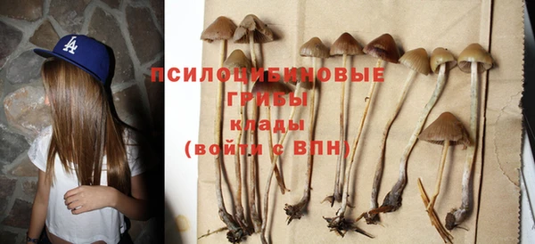 твердый Алексеевка