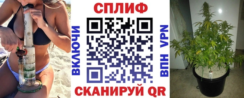 kraken ТОР  Дыгулыбгей  Канабис план 